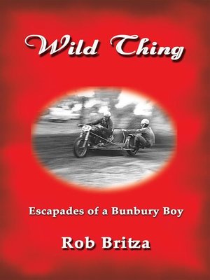 cover image of Wild Thing